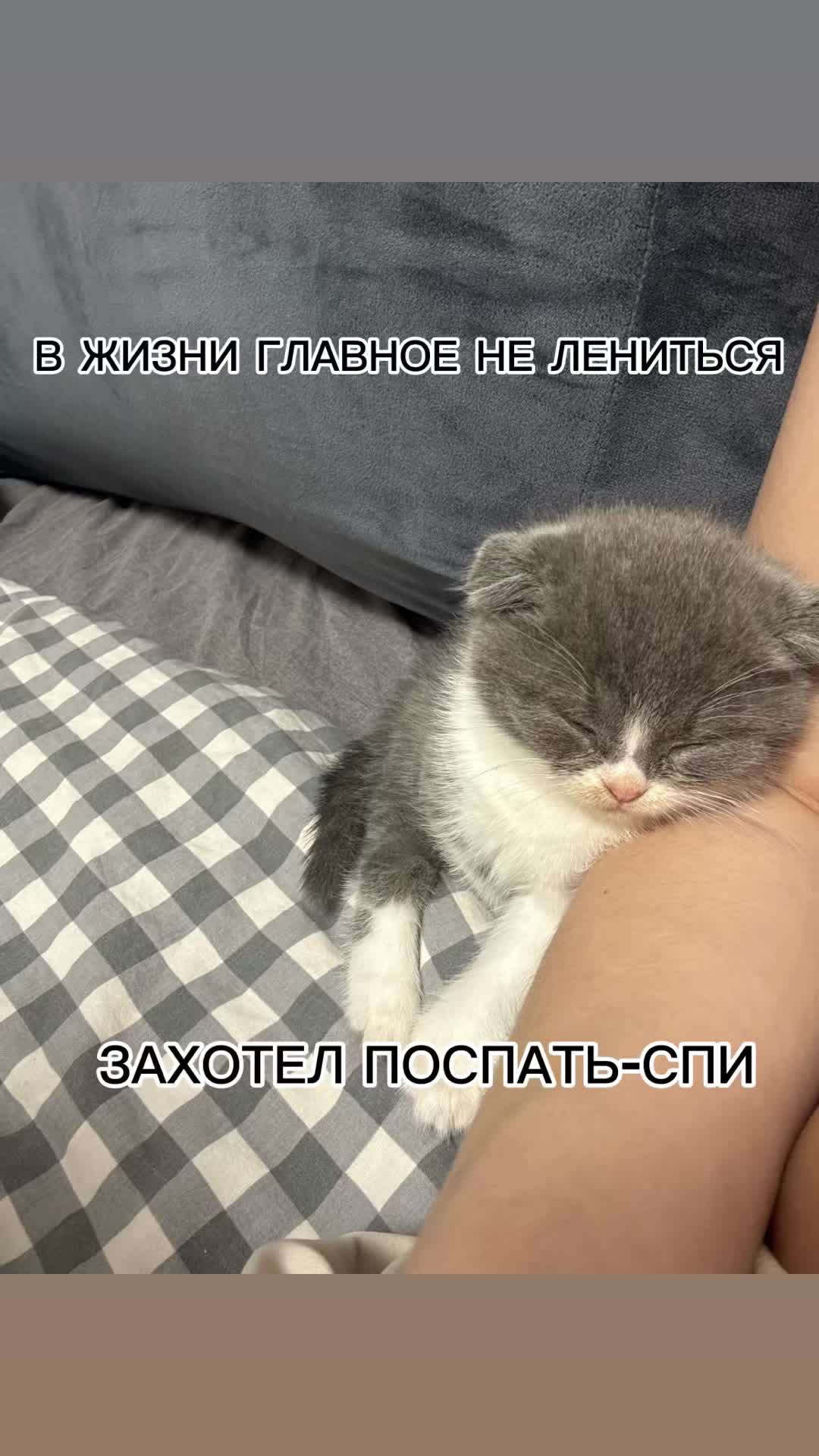 @Аль&euml;на