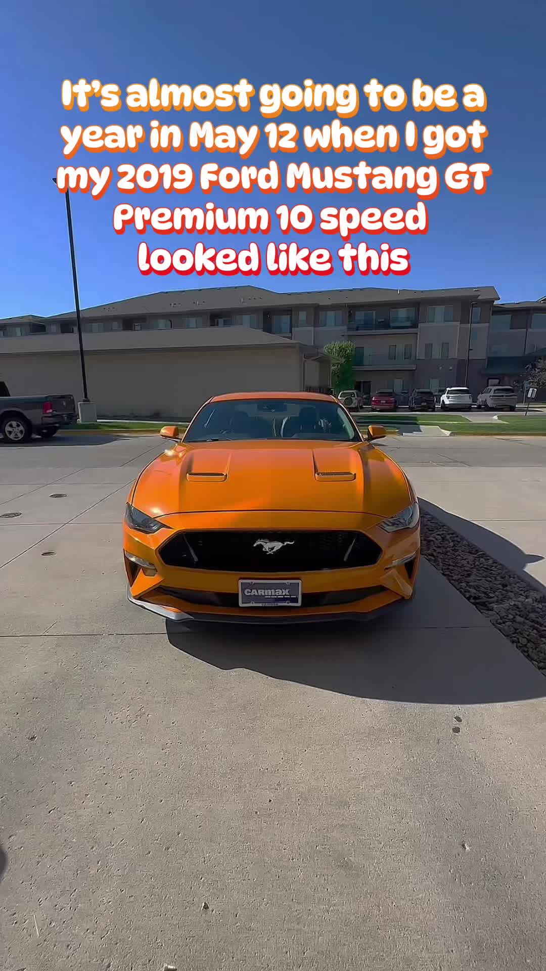@LaVidaDeBori787PR🇵🇷👹🐺