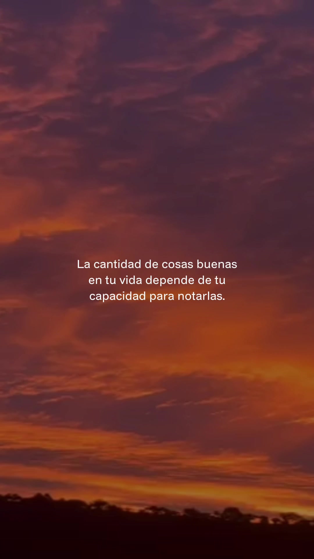 @Carolina Hinojosa