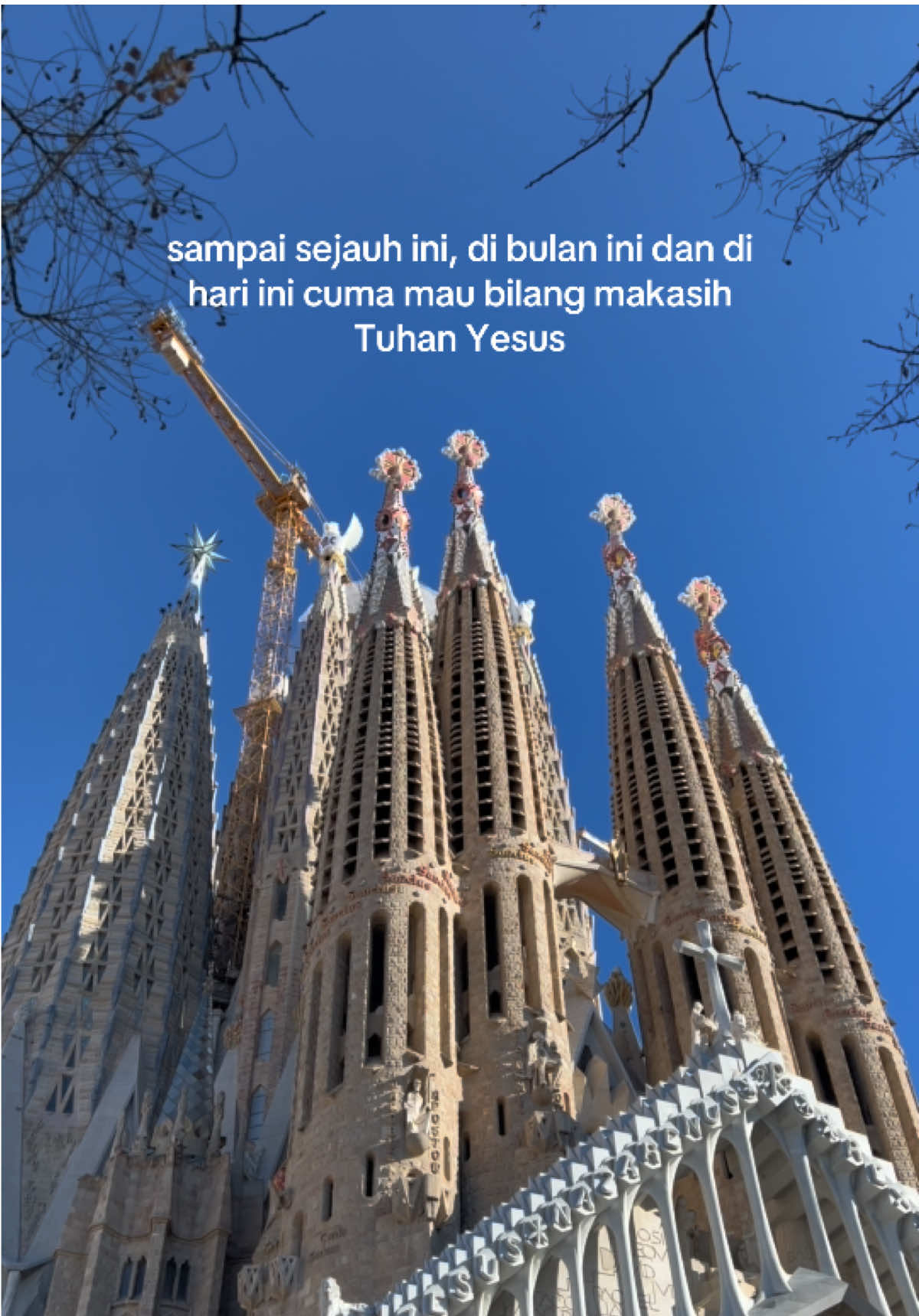 @SELAW