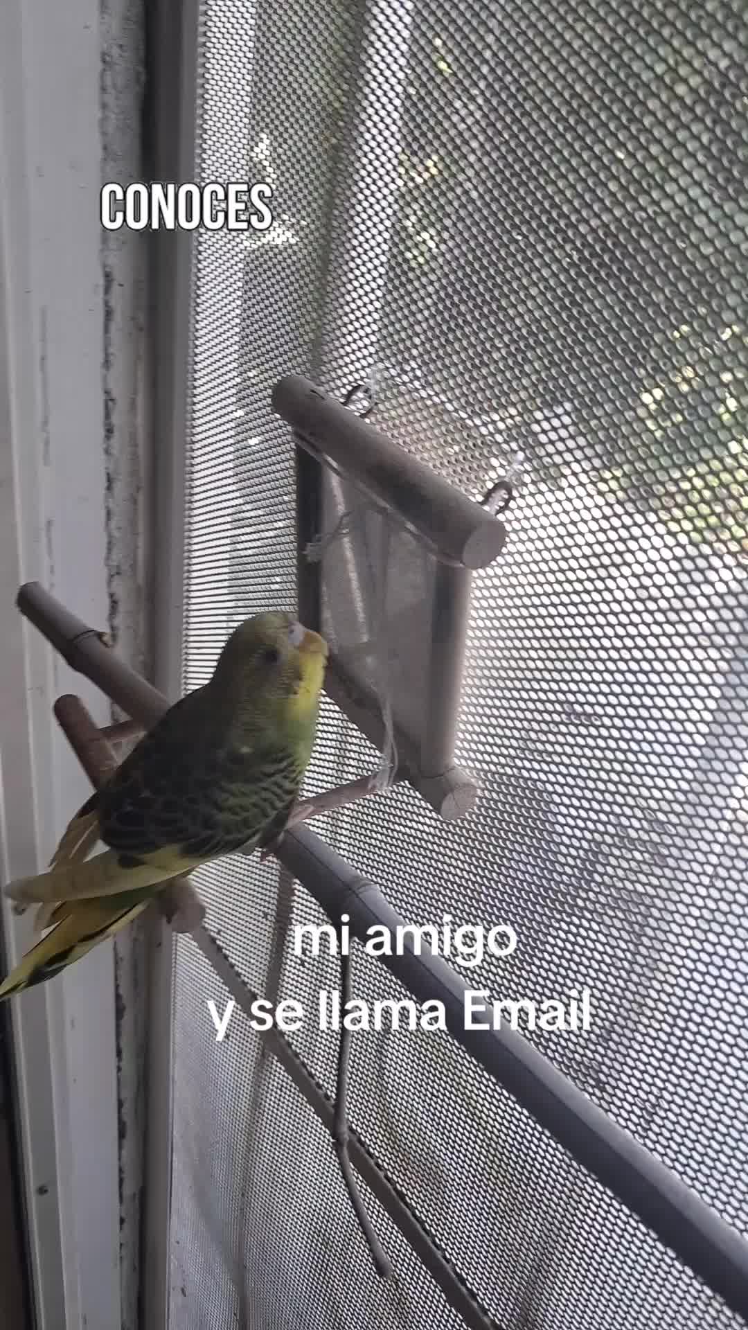@Ada Madrina