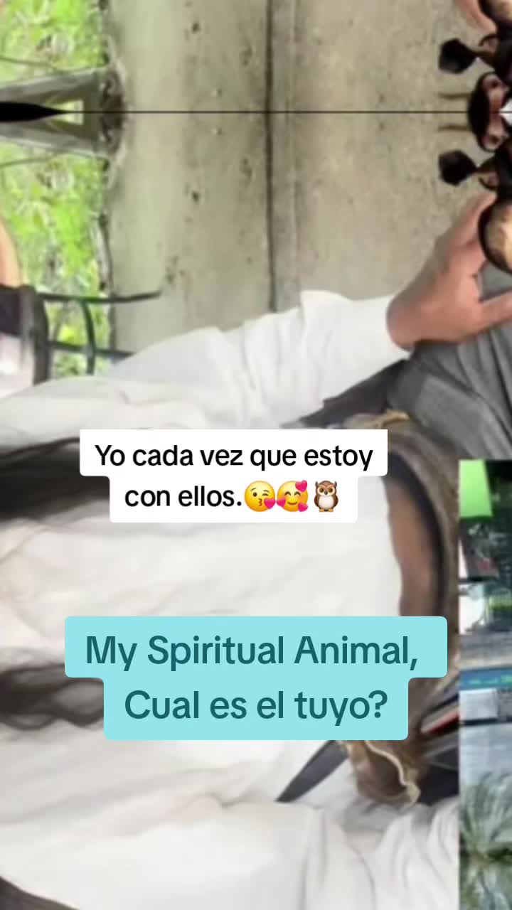 @𝐶𝐻𝐼𝑀𝐴𝐷𝑂𝑅