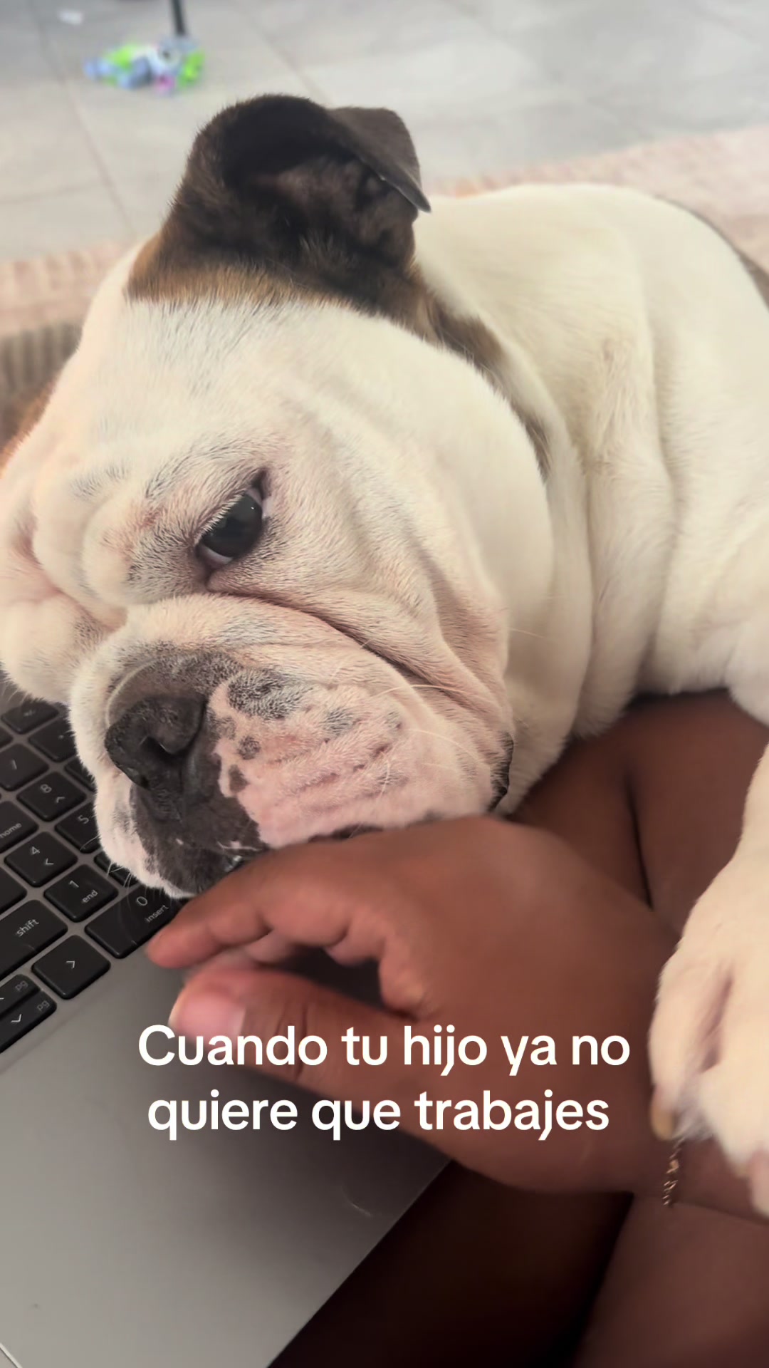 @Coco’s Paws