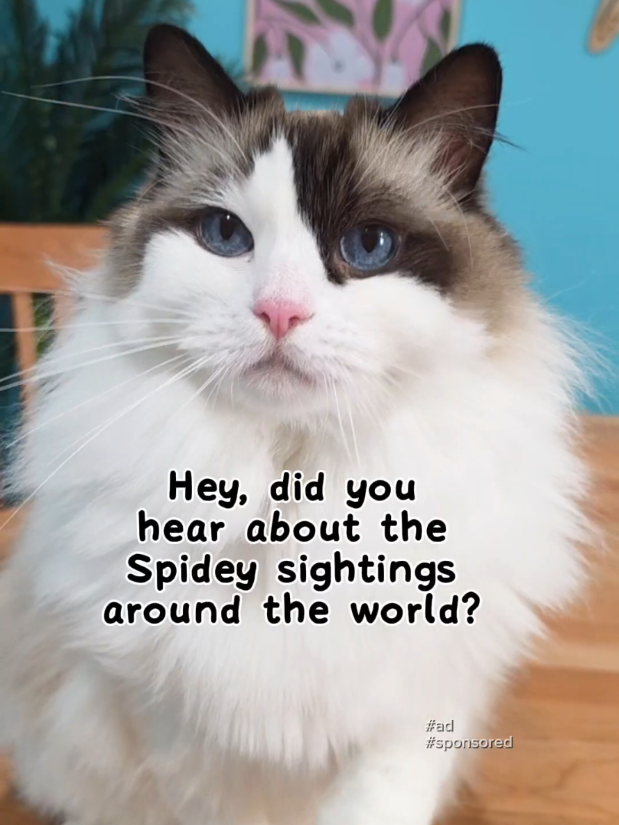 @Eevee, Yoshi & Waffles