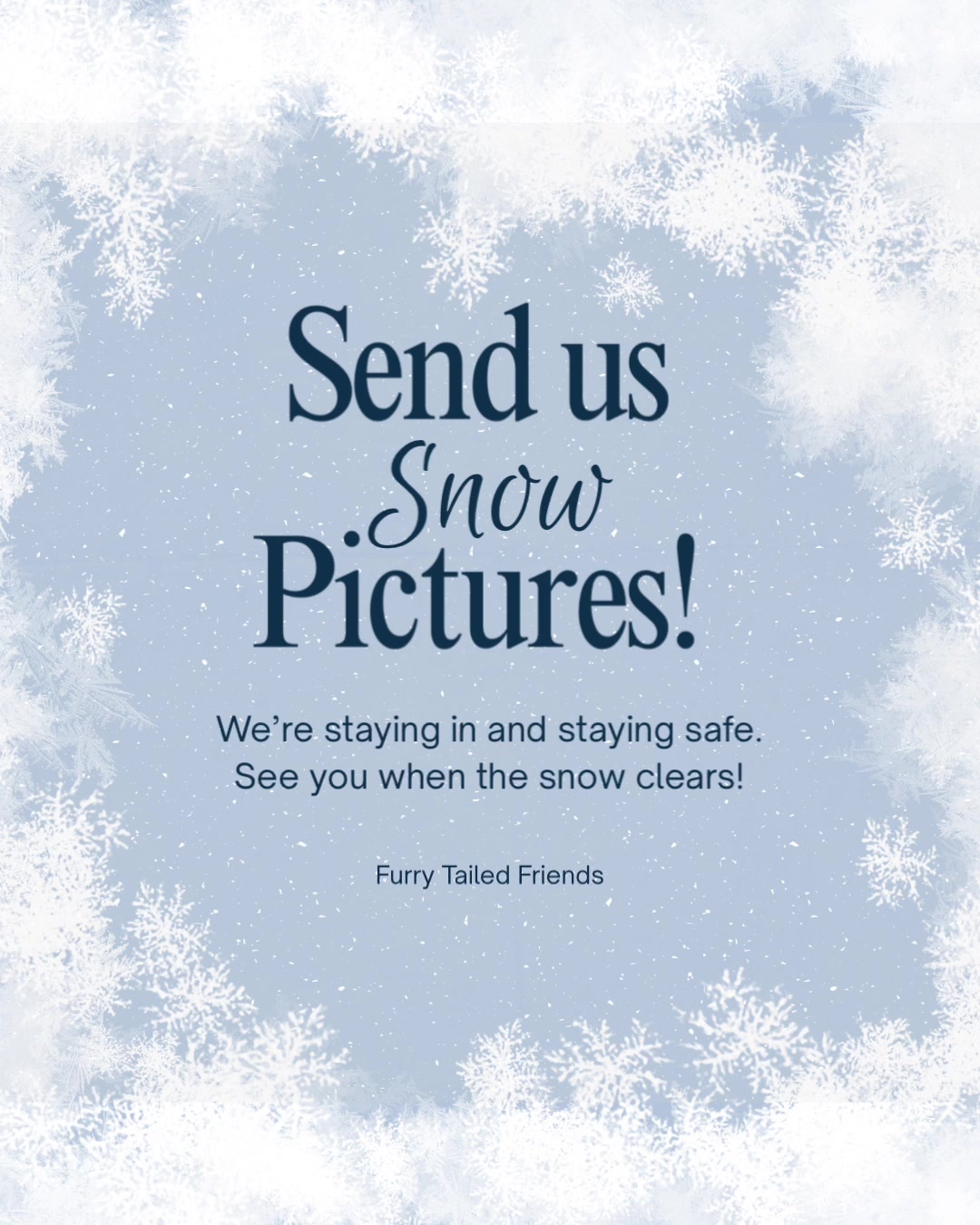 @Furry Tailed Friends NC