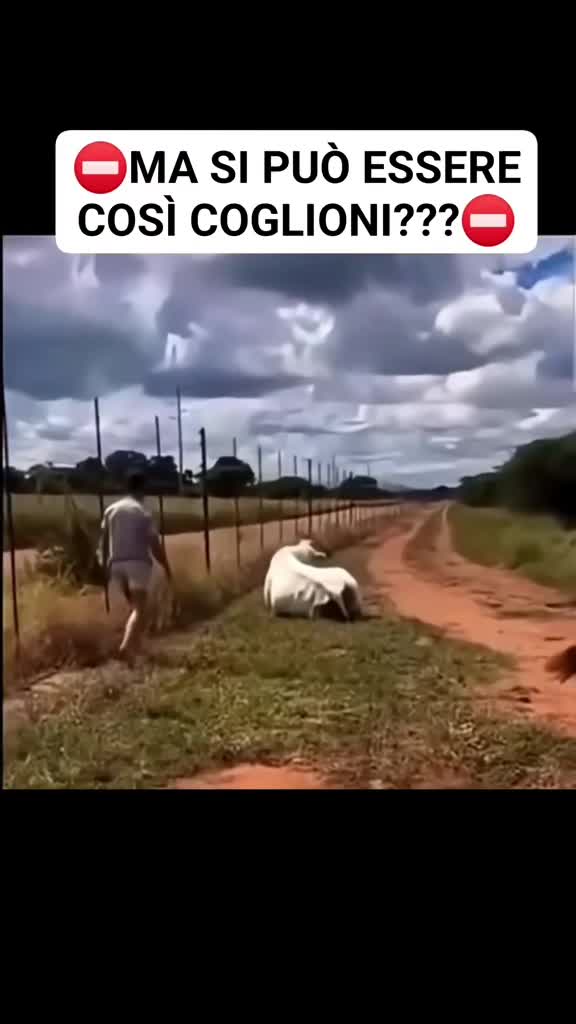 @꧁✨❤️Ⓟⓐⓣⓣⓨ❤️✨꧂