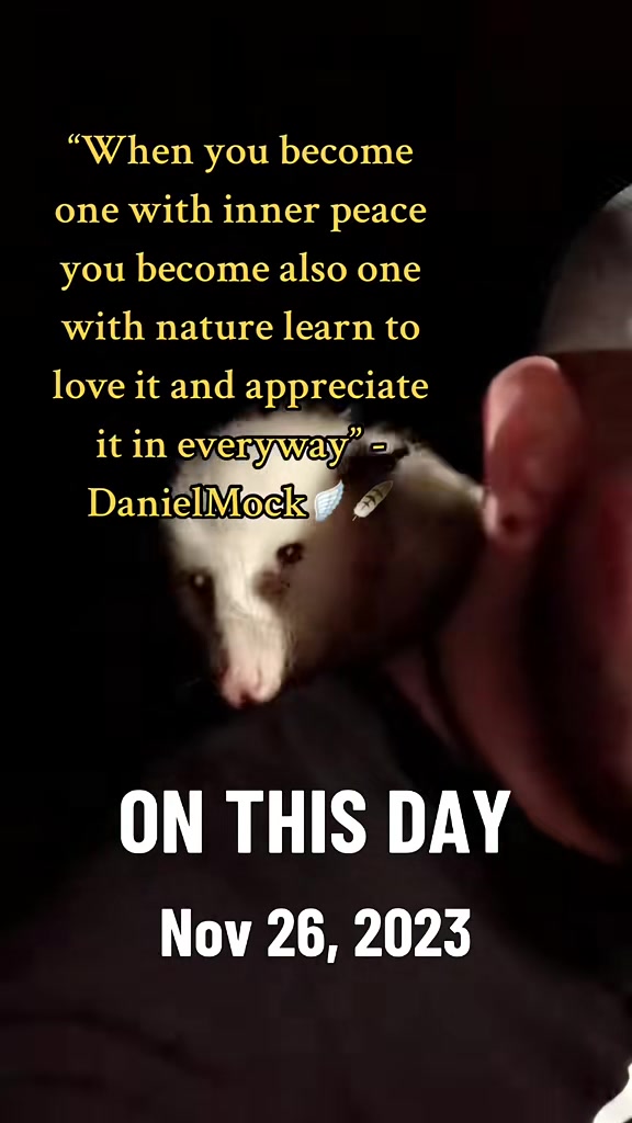 @🪽🛡️DanielMock📜⚔️