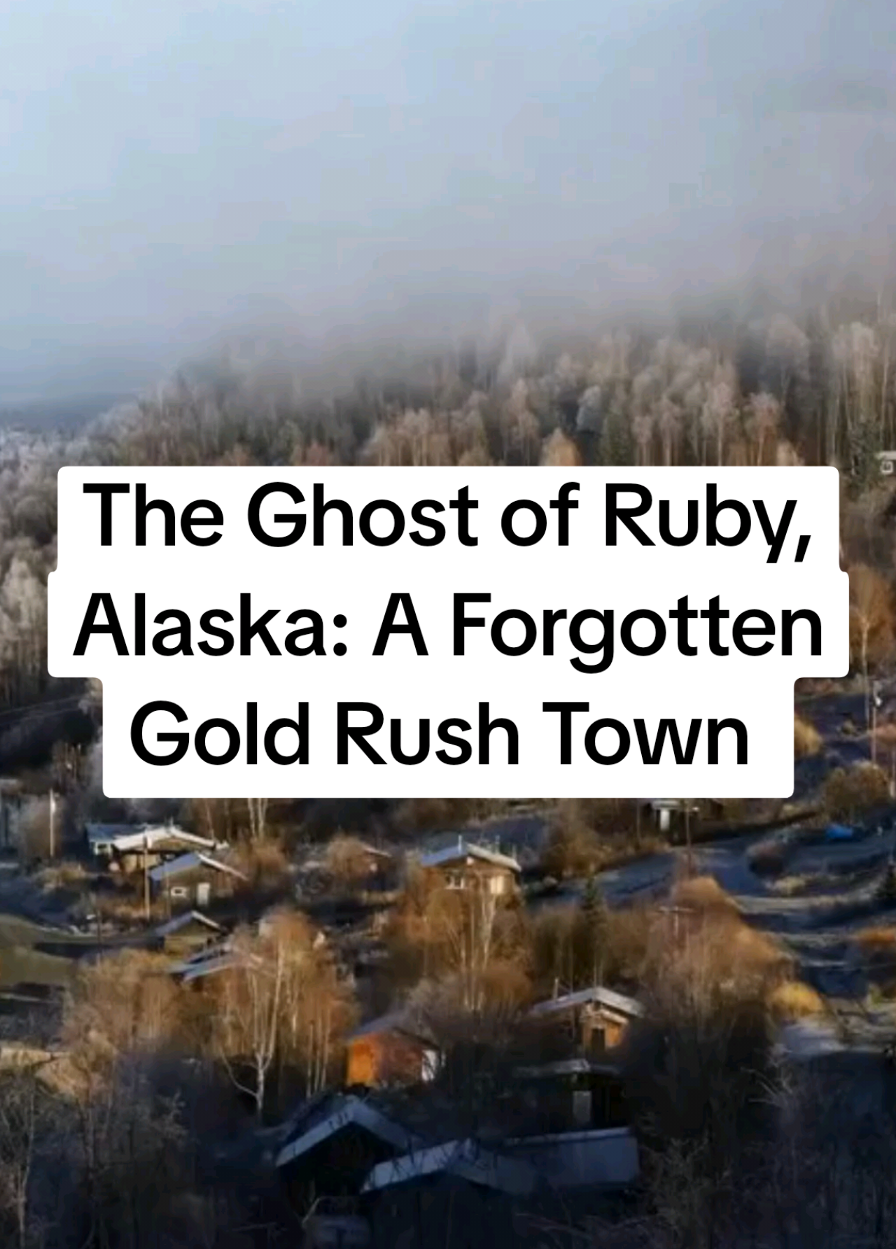 @alaska.history