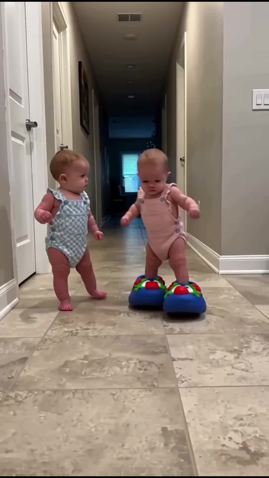 @Fun Memes and dancing