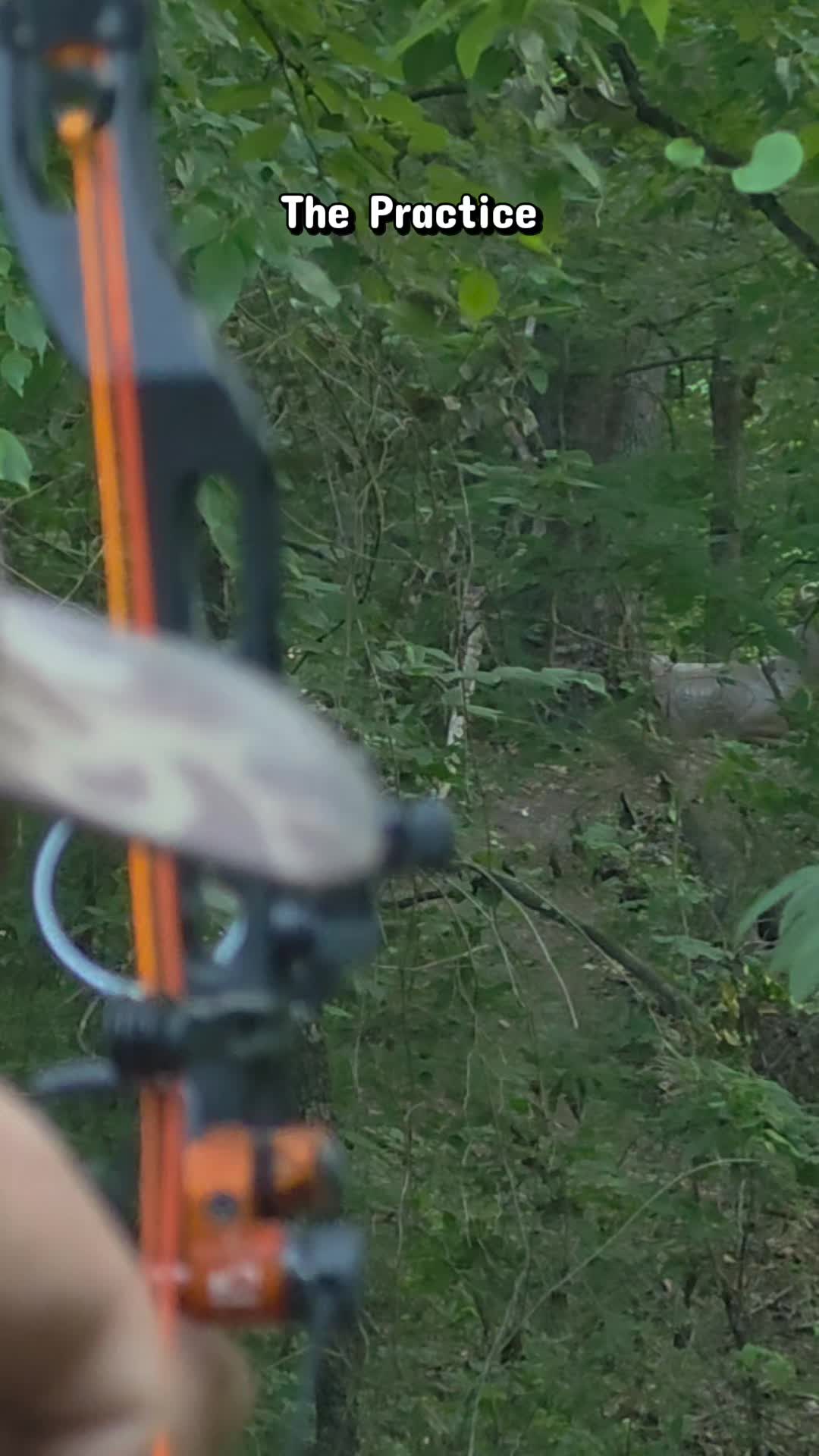 @Unorthodox Hunter