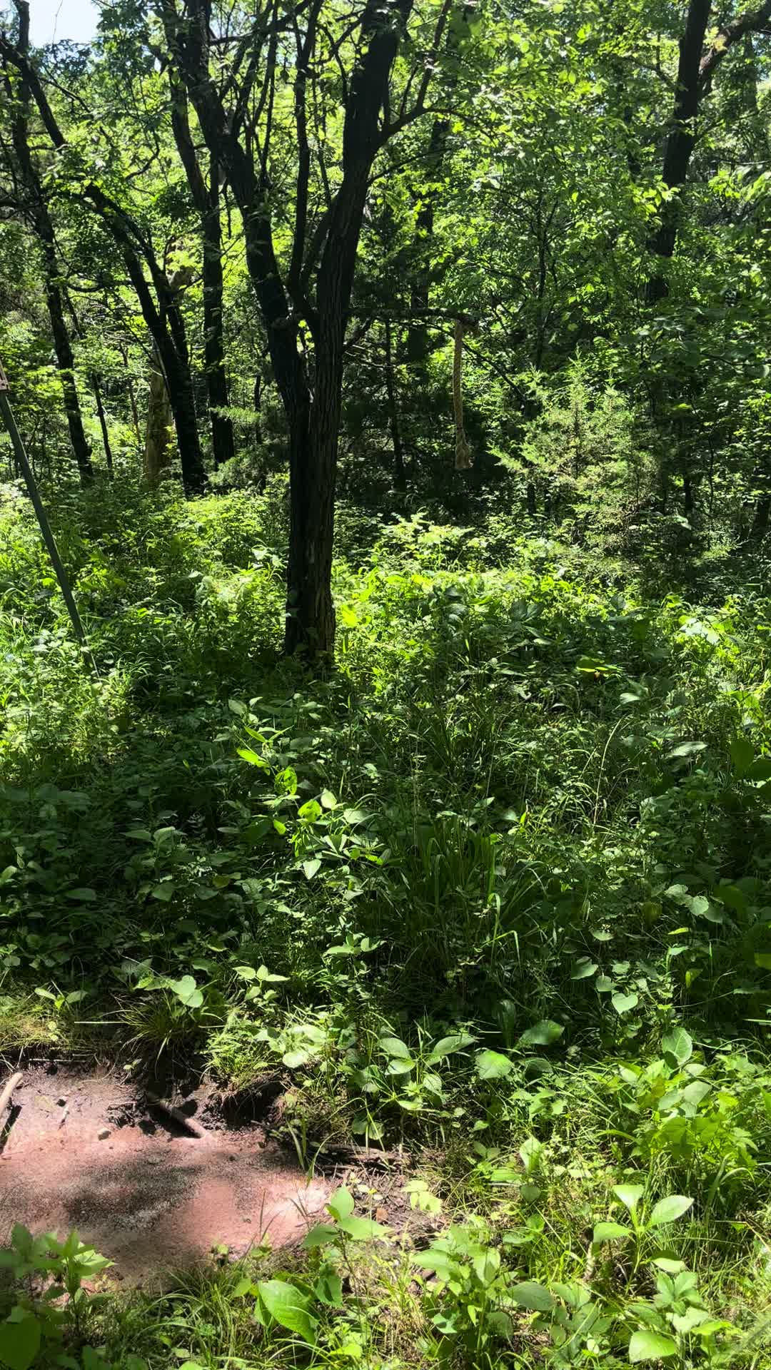 @Tactical Approach Outdoors LLC