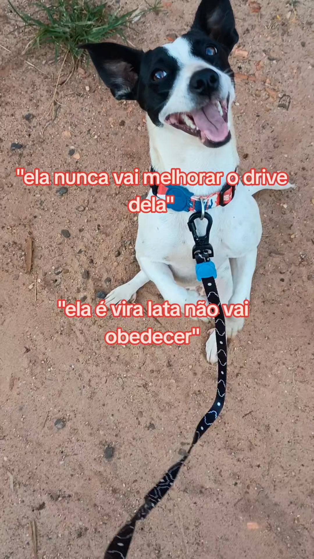 @🇧🇷𝖕𝖆𝖙𝖆𝖘𝕭𝕽٭
