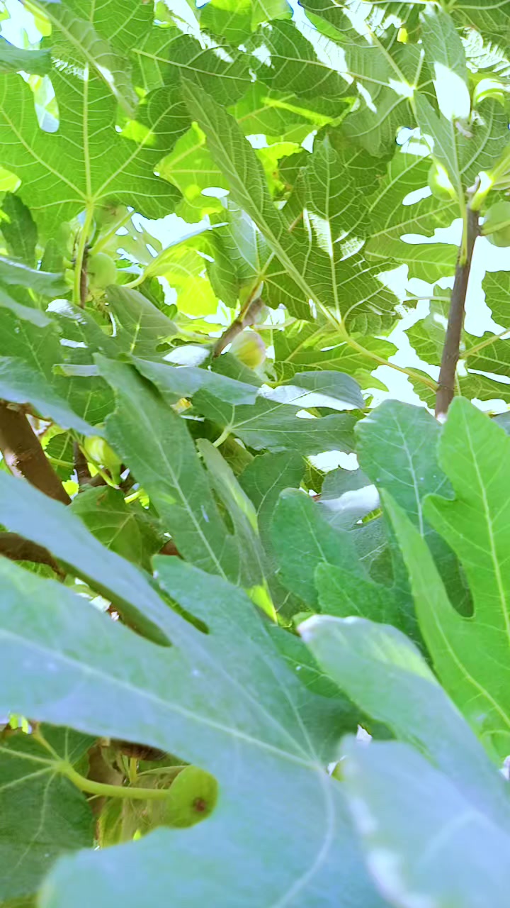 @يوميات مناࢪ🍒