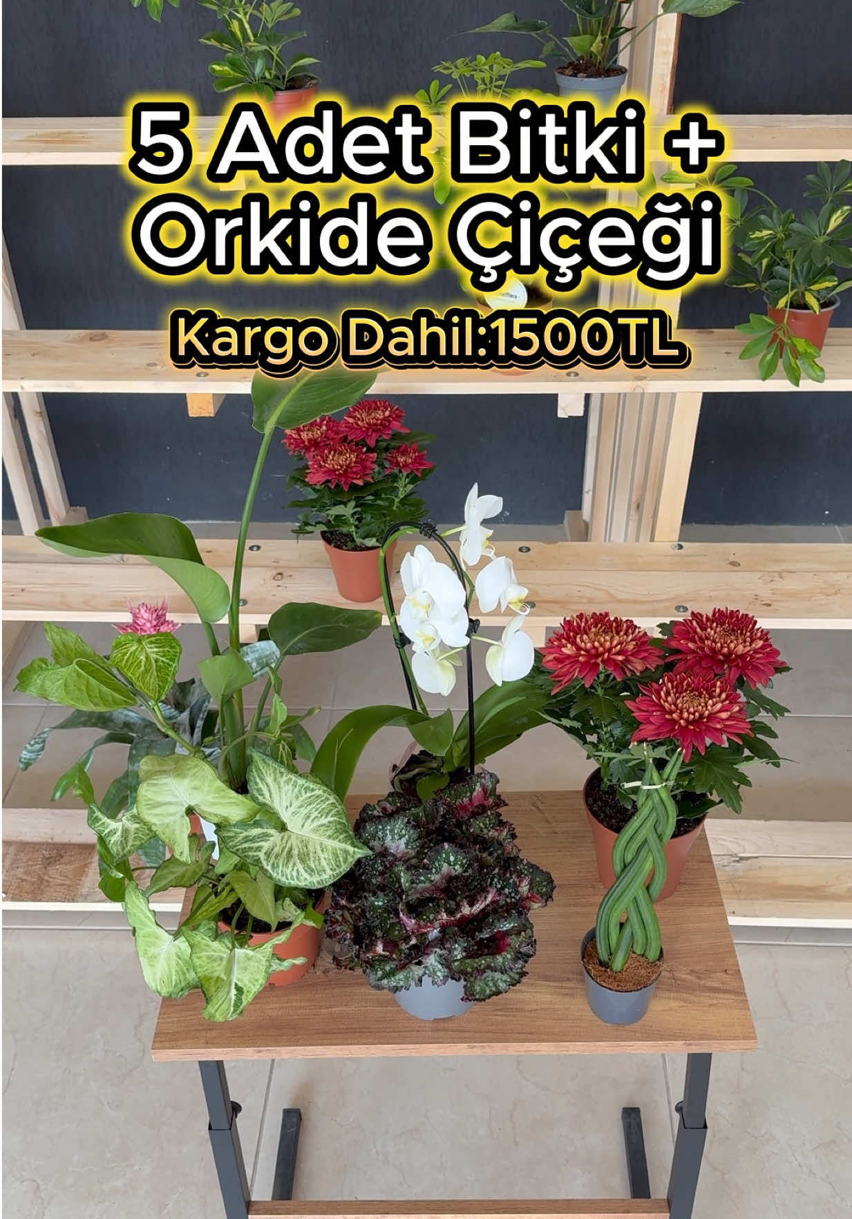 @Saklı bah&ccedil;e Bitkileri