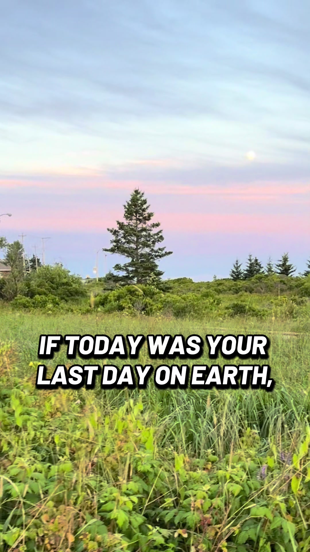 @QuietPivot 🇨🇦