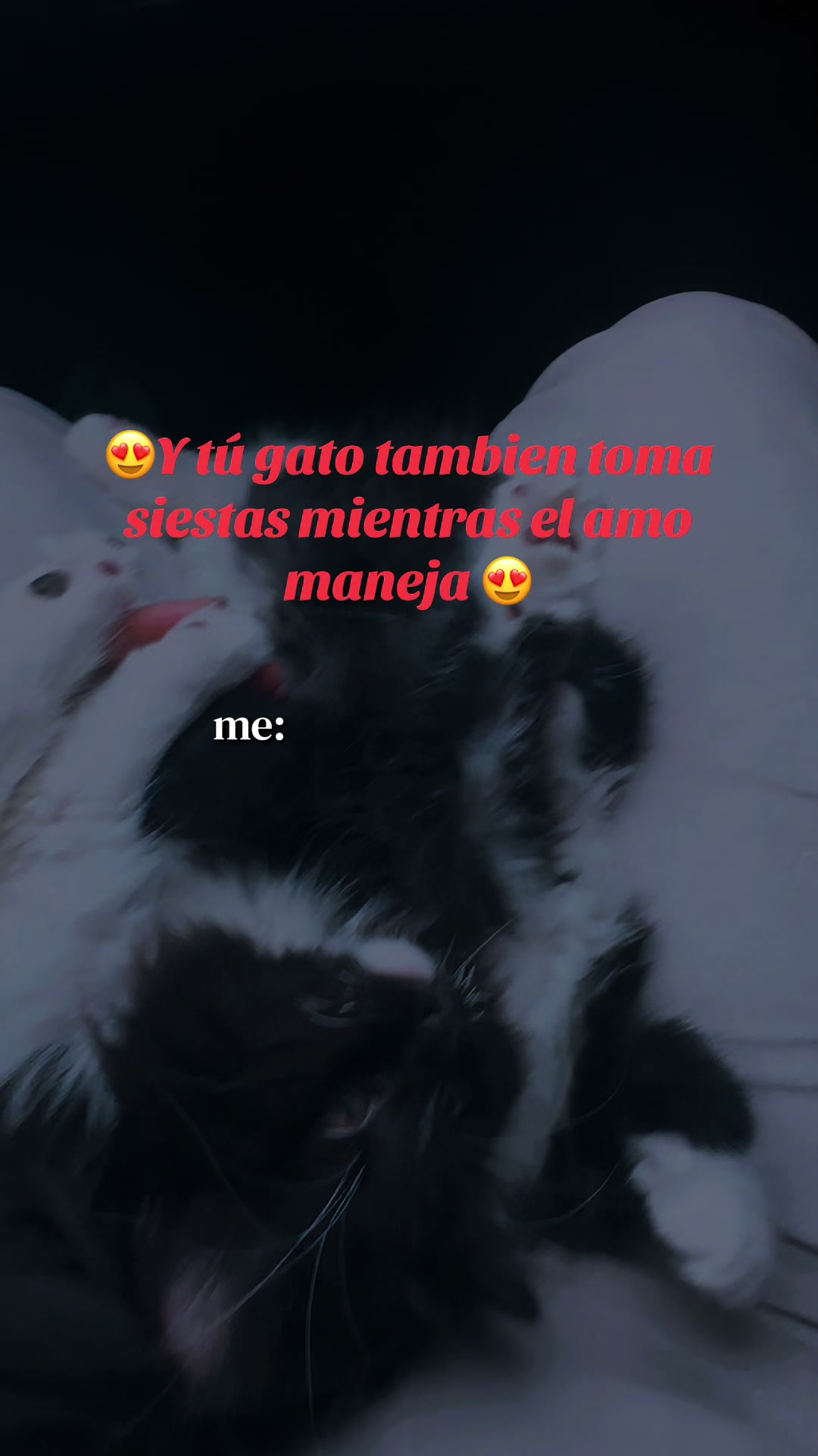 @My love