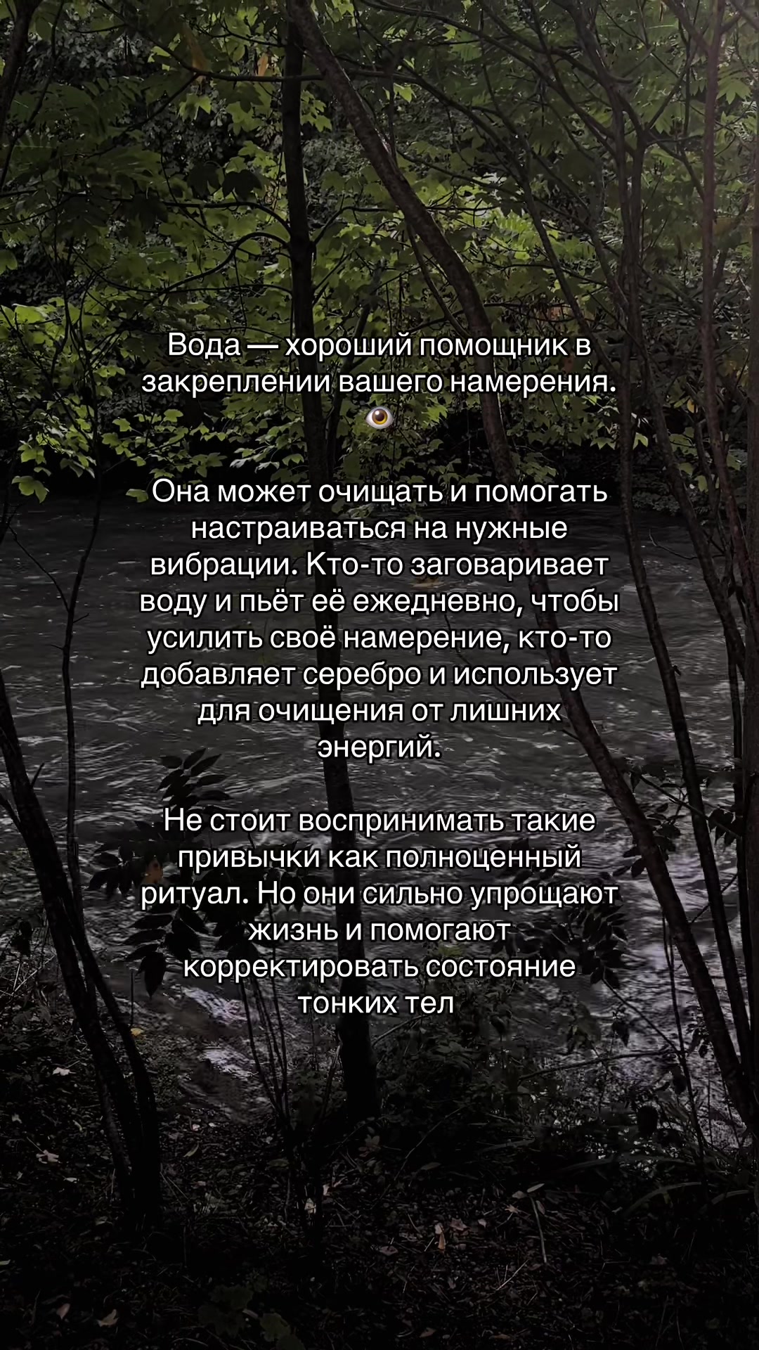 @🐉👁️ Гримуар Роуз 🩻🔮