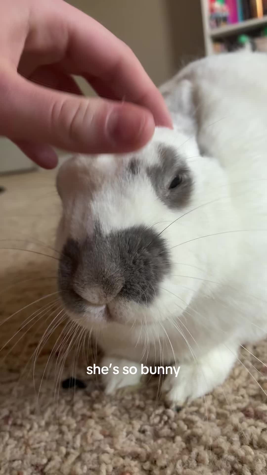 @♡