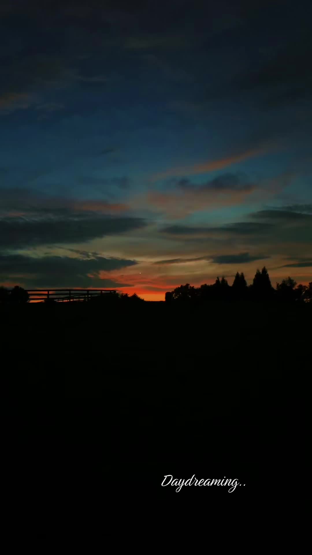 @Danigurl🦮🏇🌅