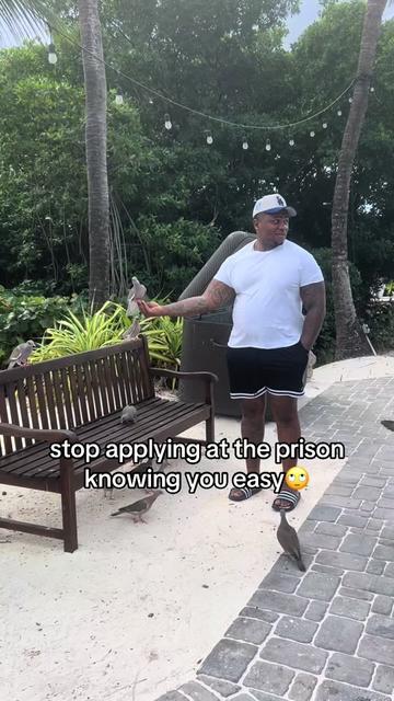 @mustard517