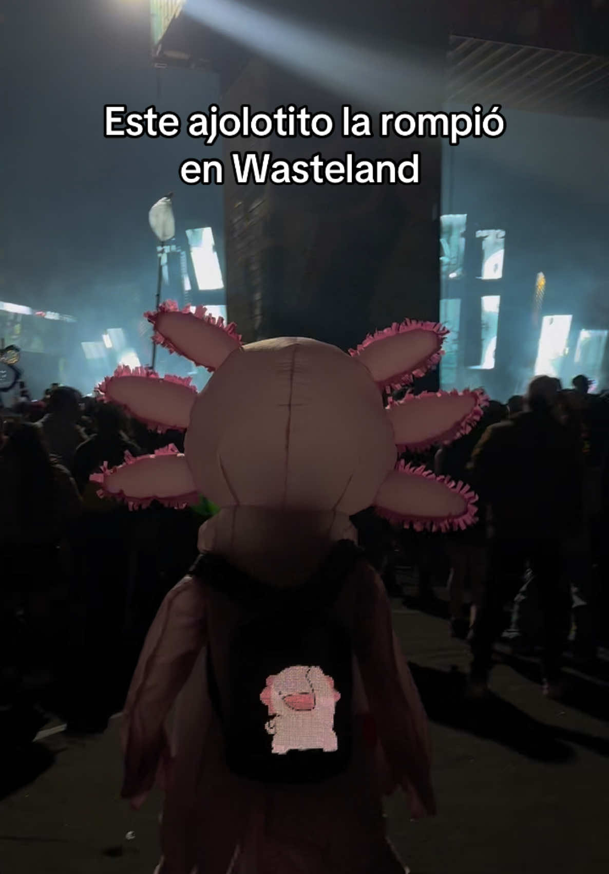 @eve
