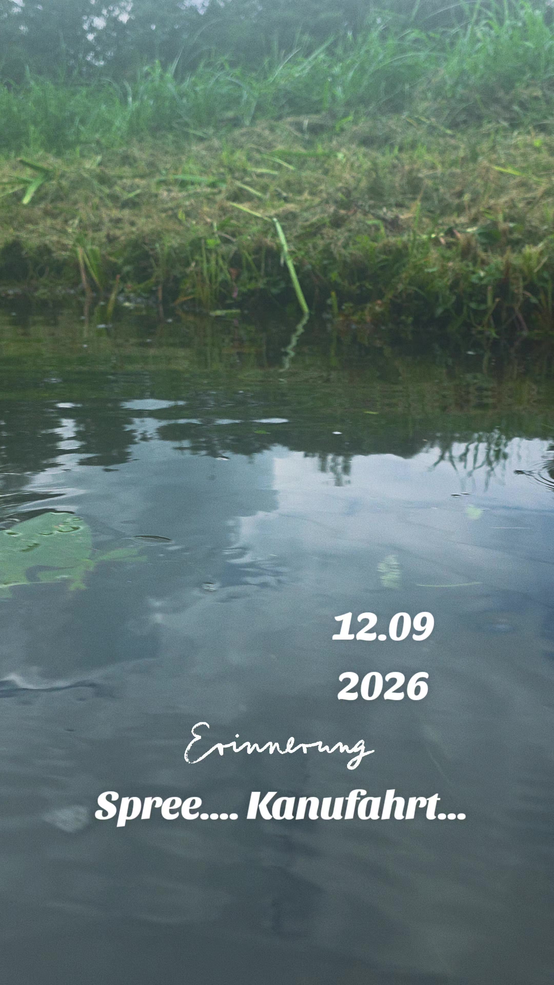 @─❀Ꮇ͓̽Ꭿ͓̽Ꮑ͓̽Ꮼ͓̽Ꭼ͓̽Ꮮ͓̽Ꭺ͓̽❀─