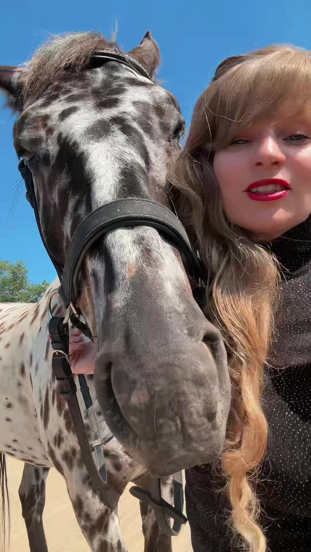 @Free Spirit Equestrian
