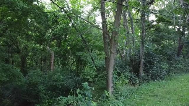@Dodger331