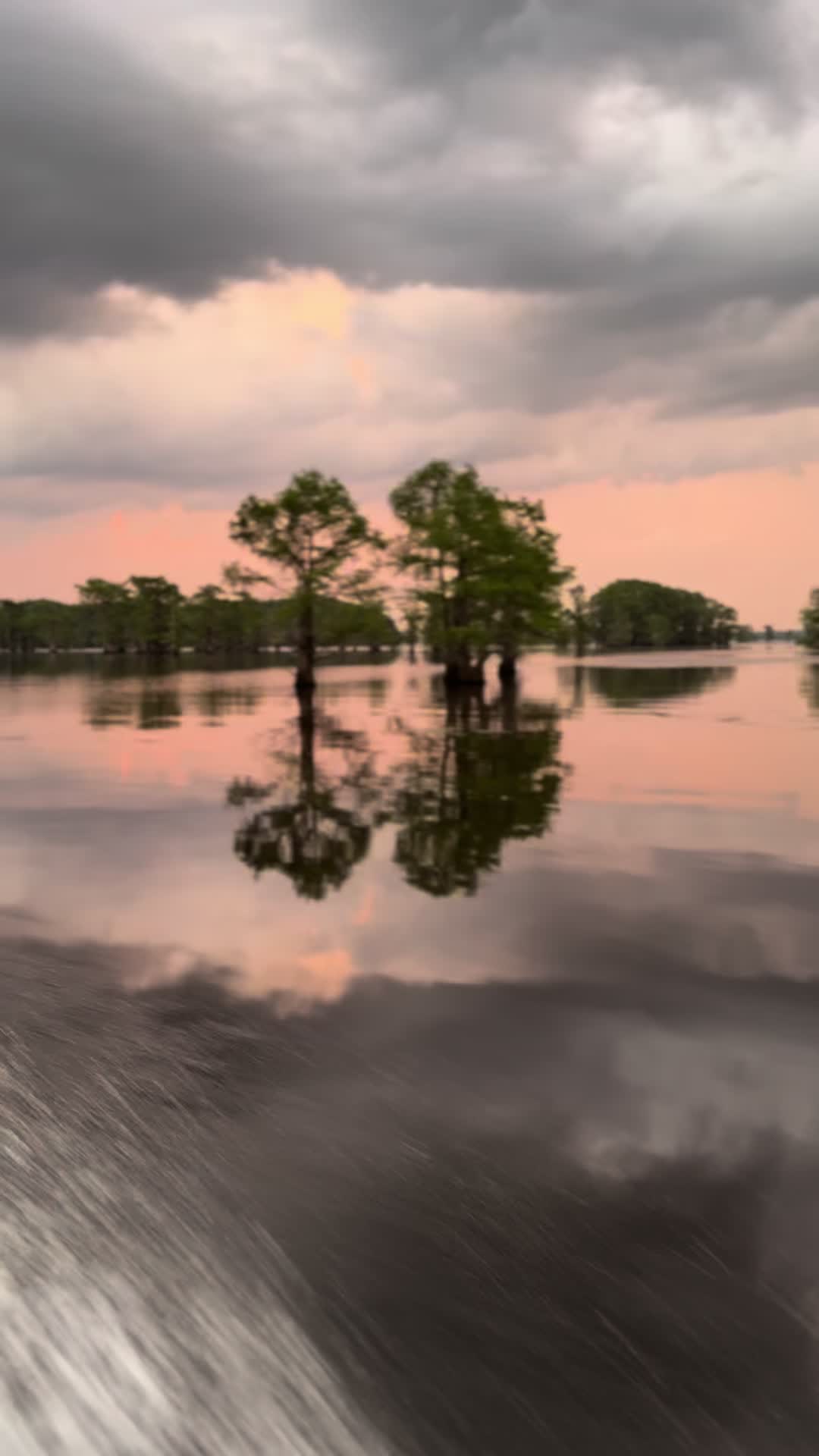 @Caddo Lake FirstCastCabin