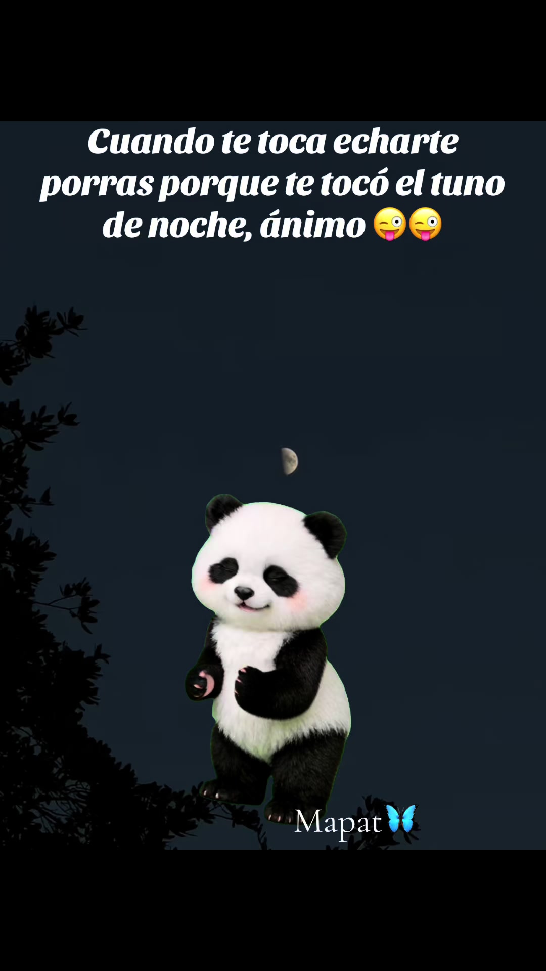 @Martha P. Betancourt Hernández