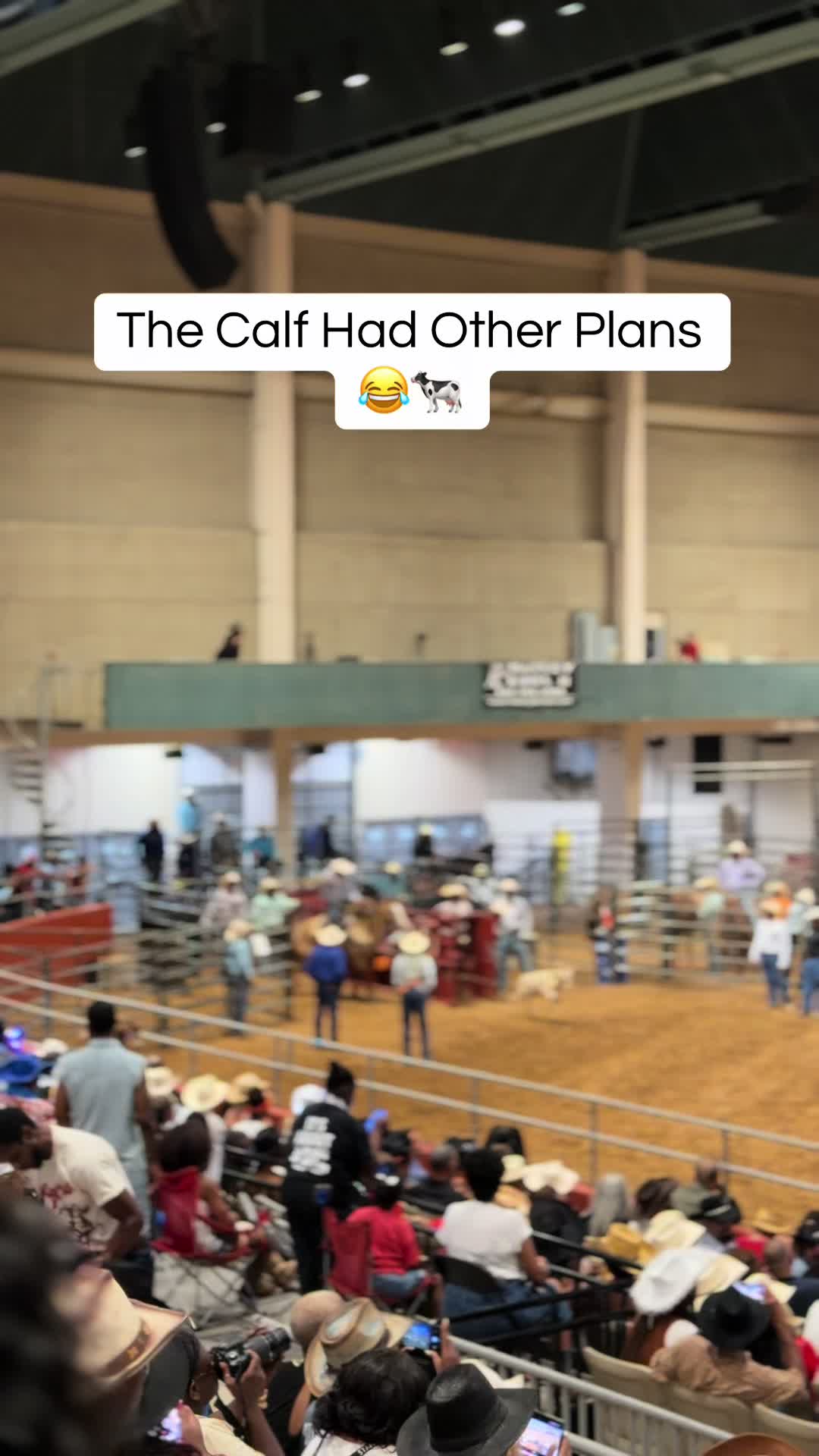 @Pia