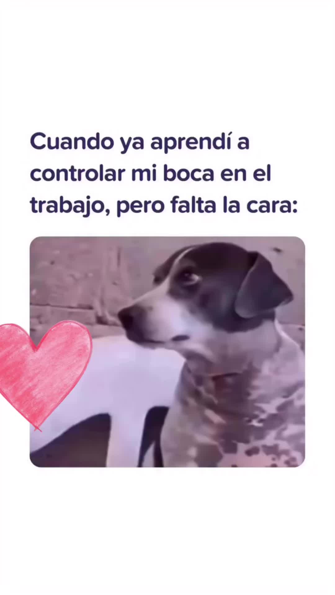 @Karlita Lisbet Ávila