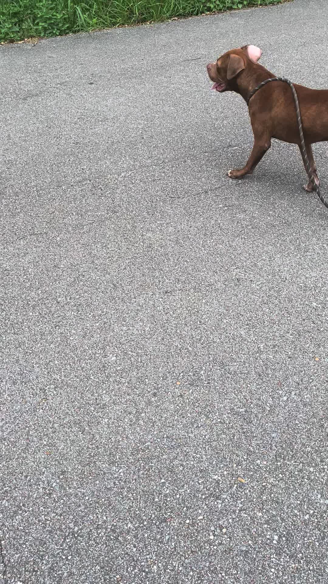 @kamwithapbt