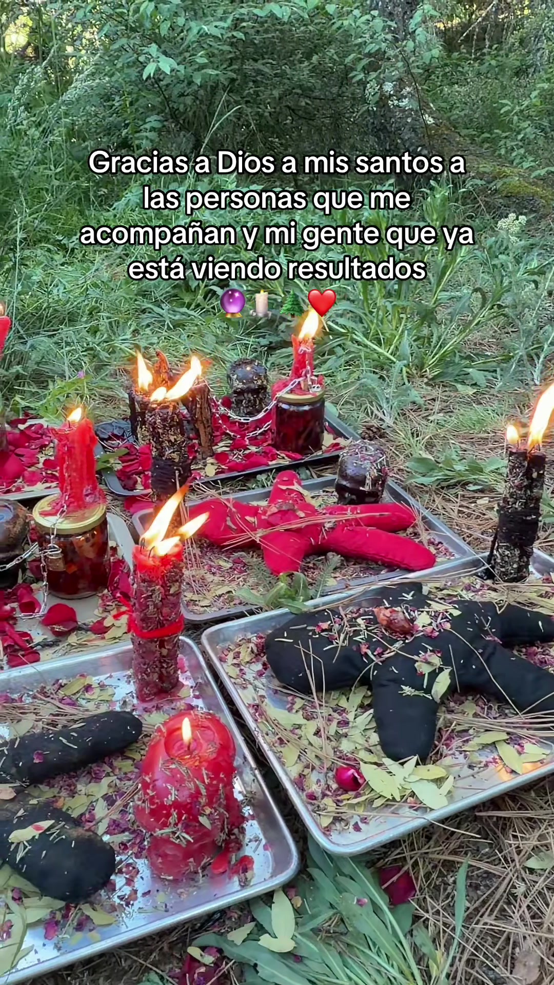 @Ana Suarez 300