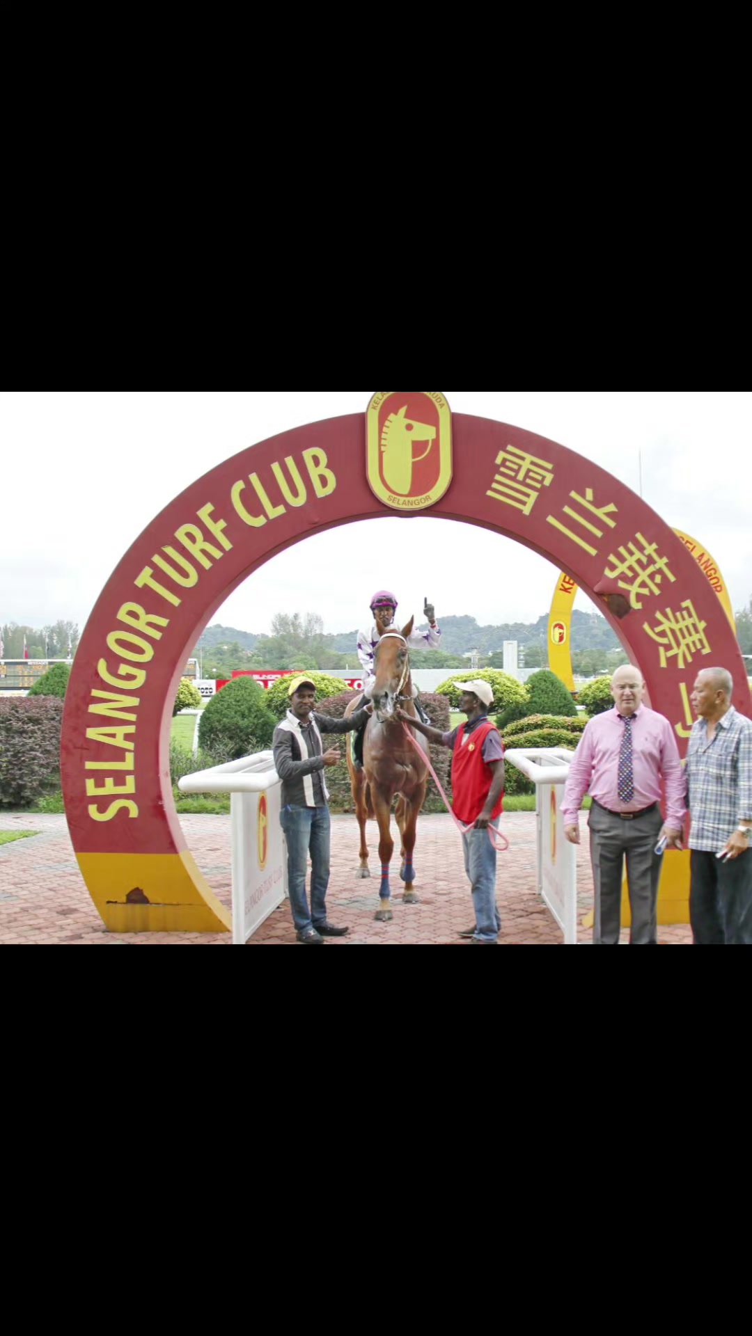 @kevin 🏆🏇🏇🏇🏆 🇸🇬🇲🇾🇳🇿
