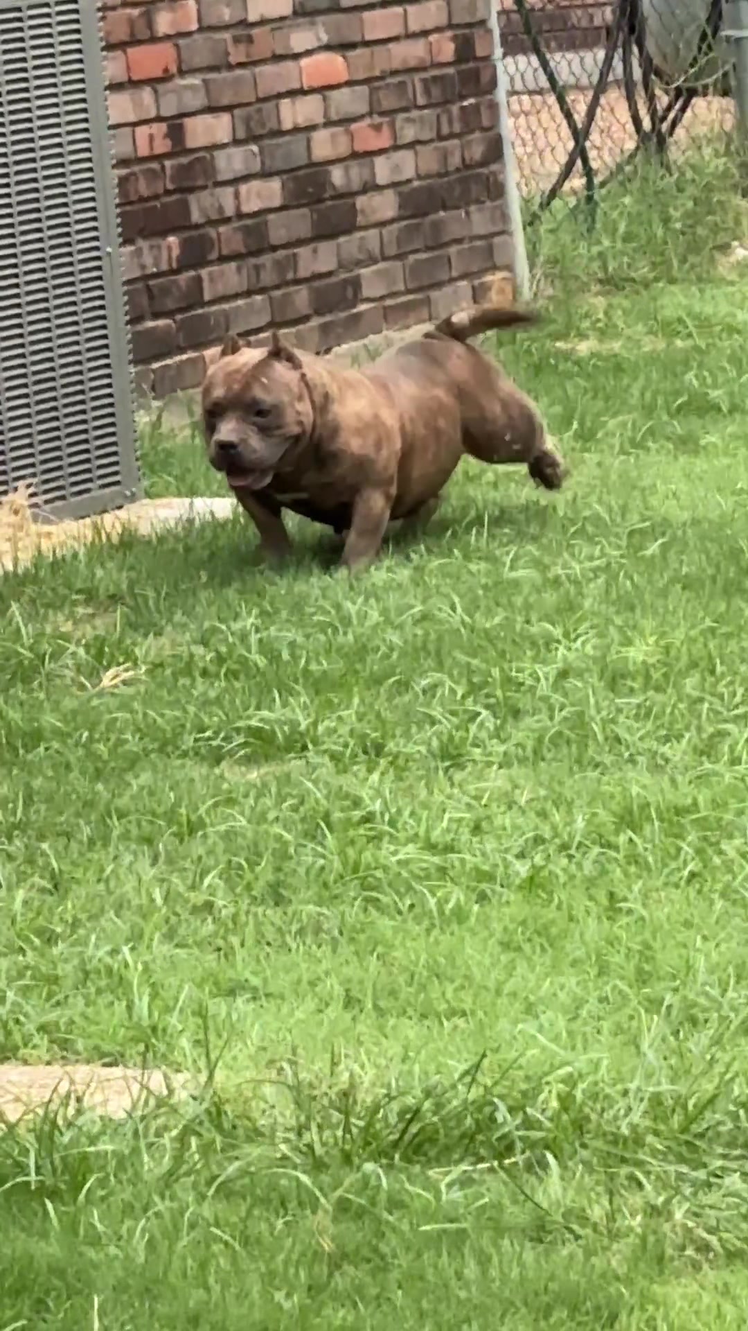 @Carters BullyHub