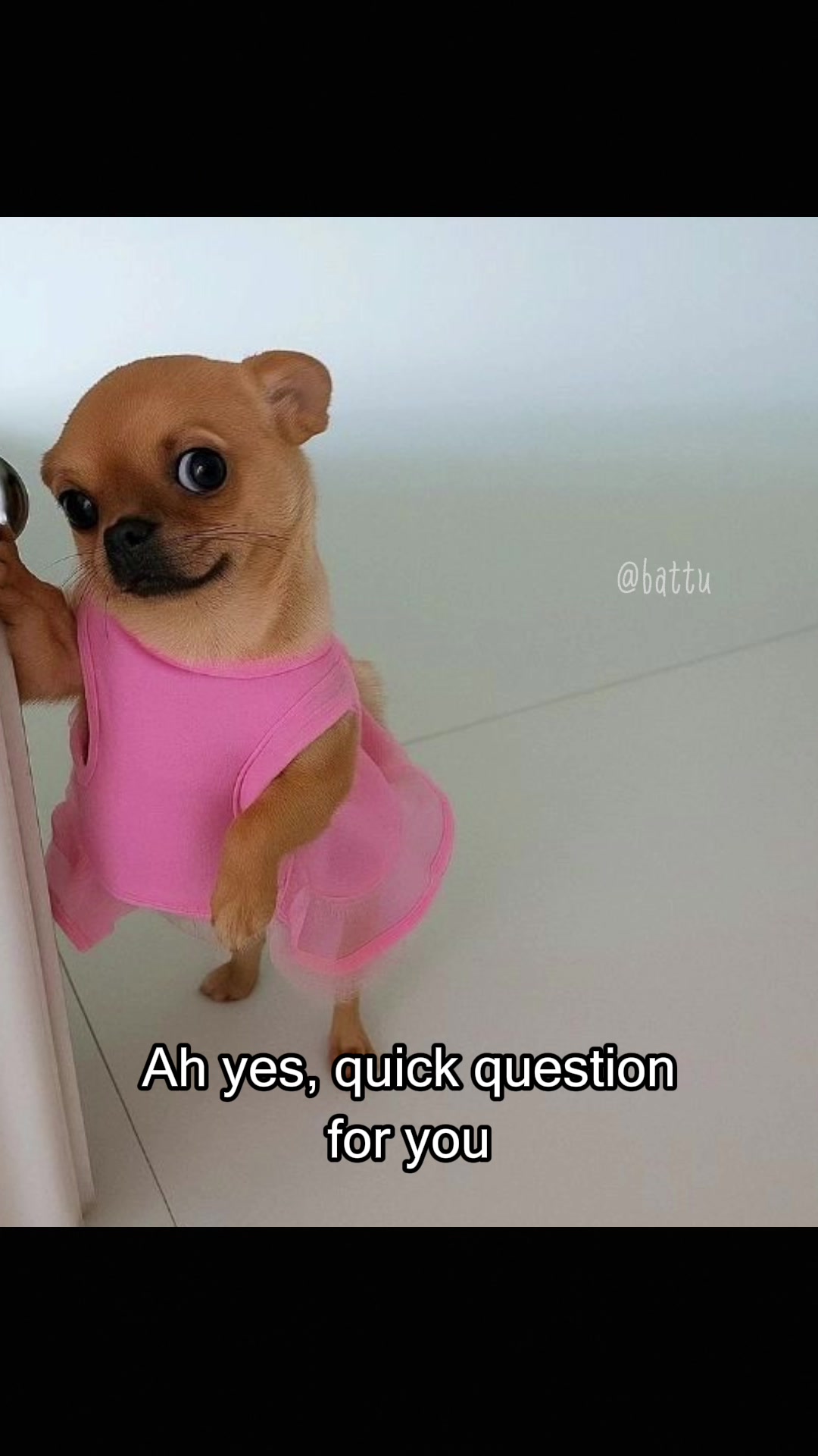 @Battu
