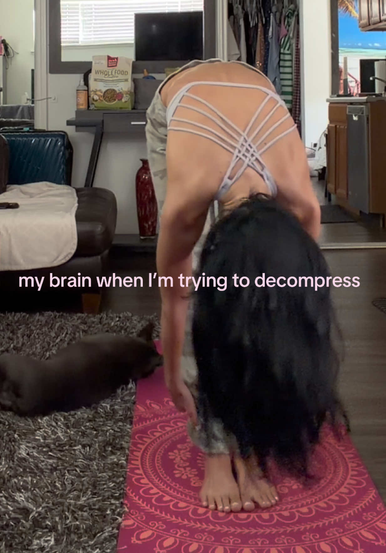 @isabellagfrank