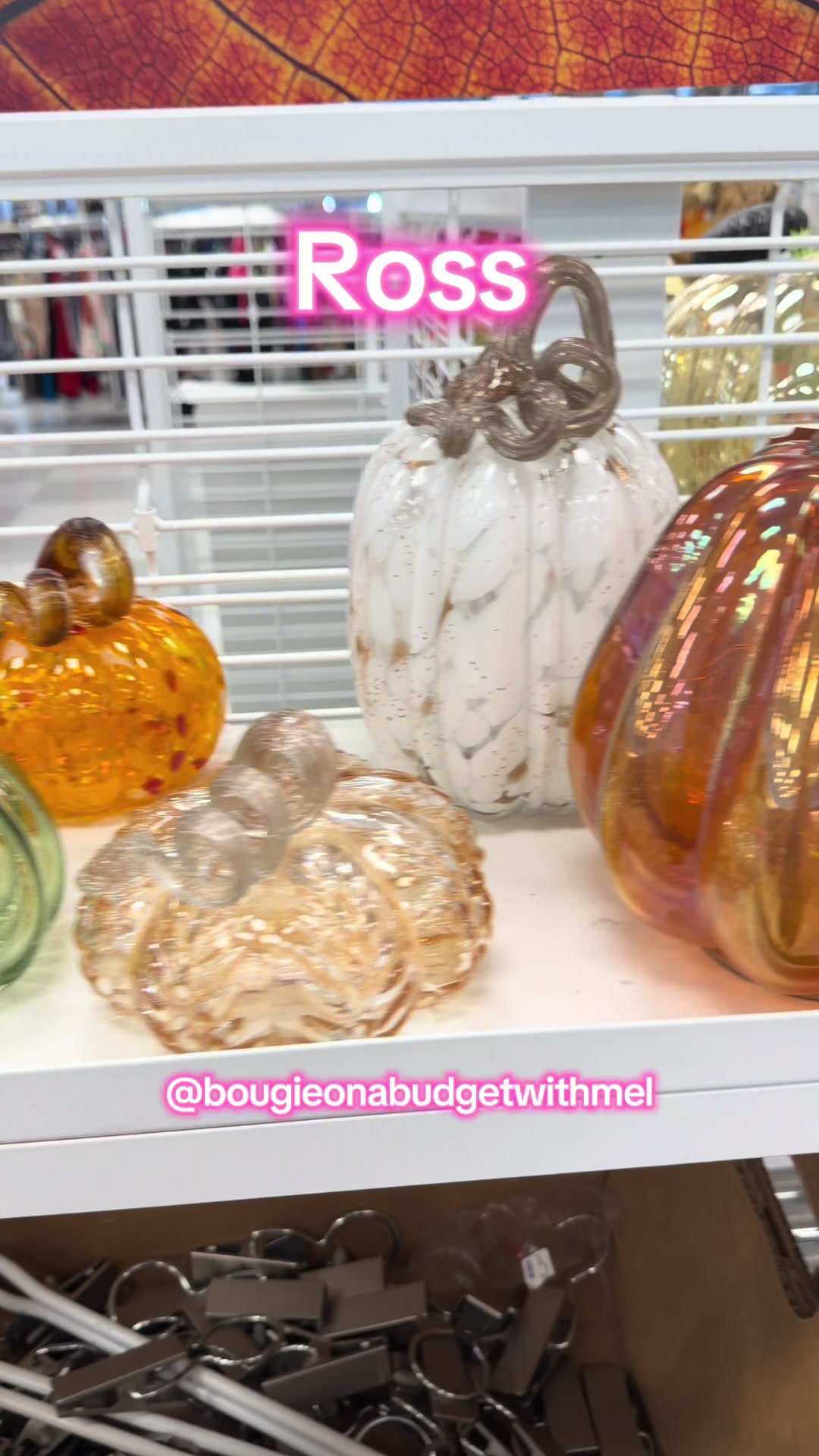 @Bougie On A Budget With Mel
