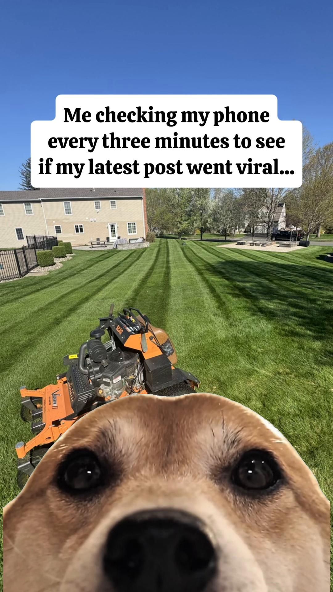 @Baileyboyslawn