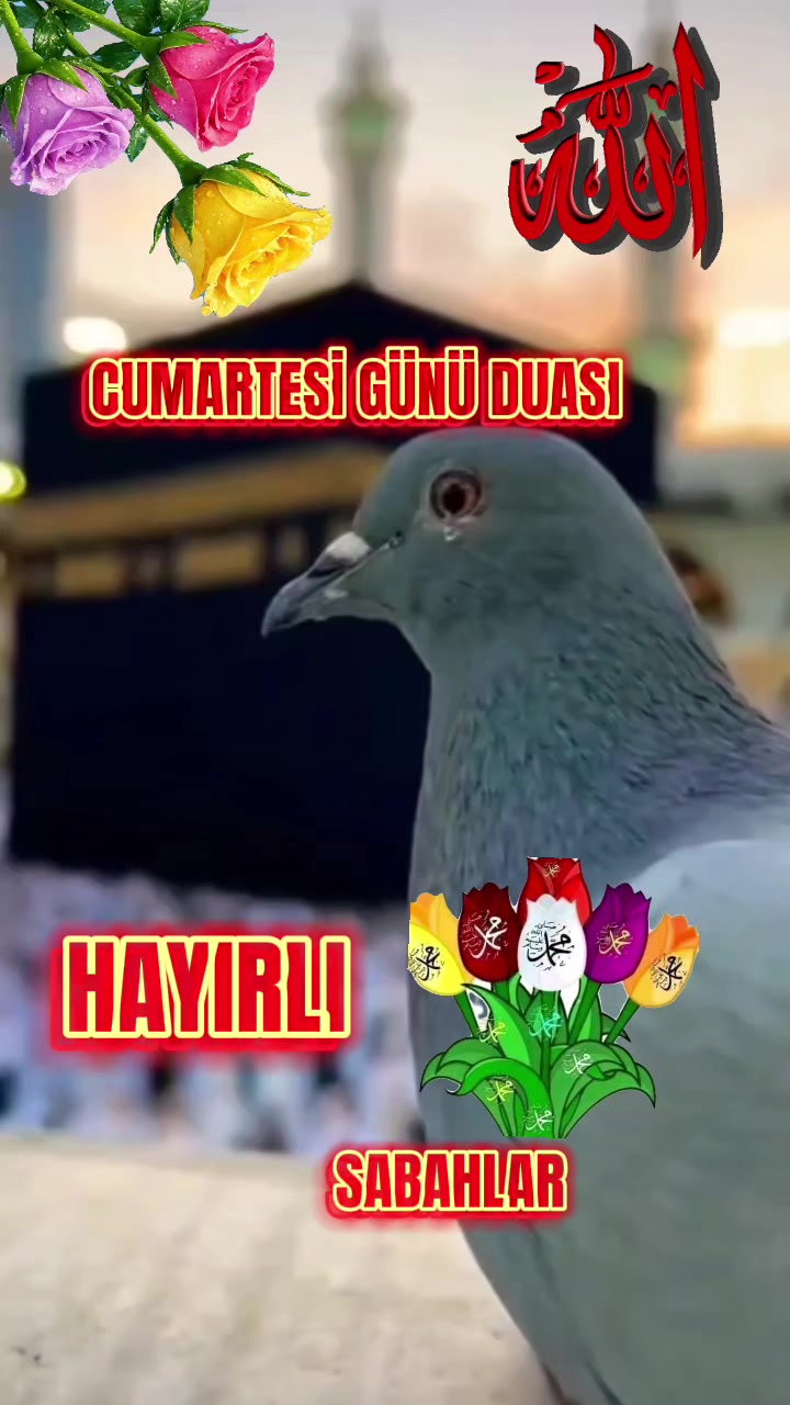 @NAKŞİ💚🕊💚AİLESİ🌹EMİNE🌹