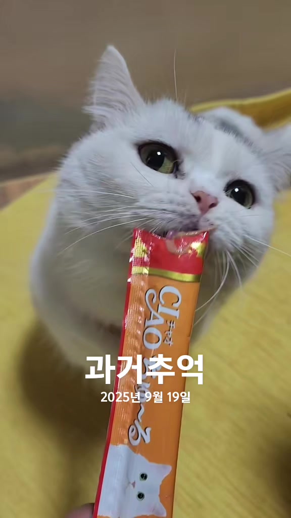 @박씨 거실