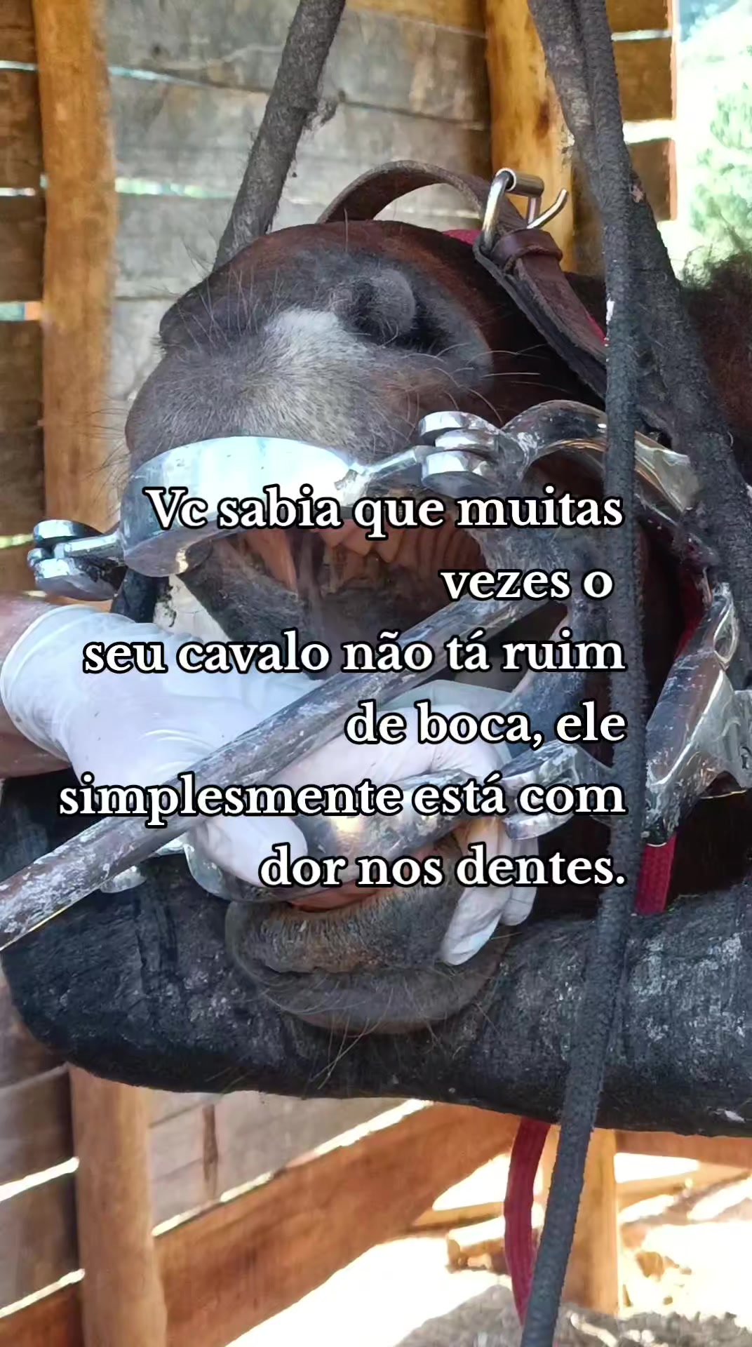 @Bruna_ofcc