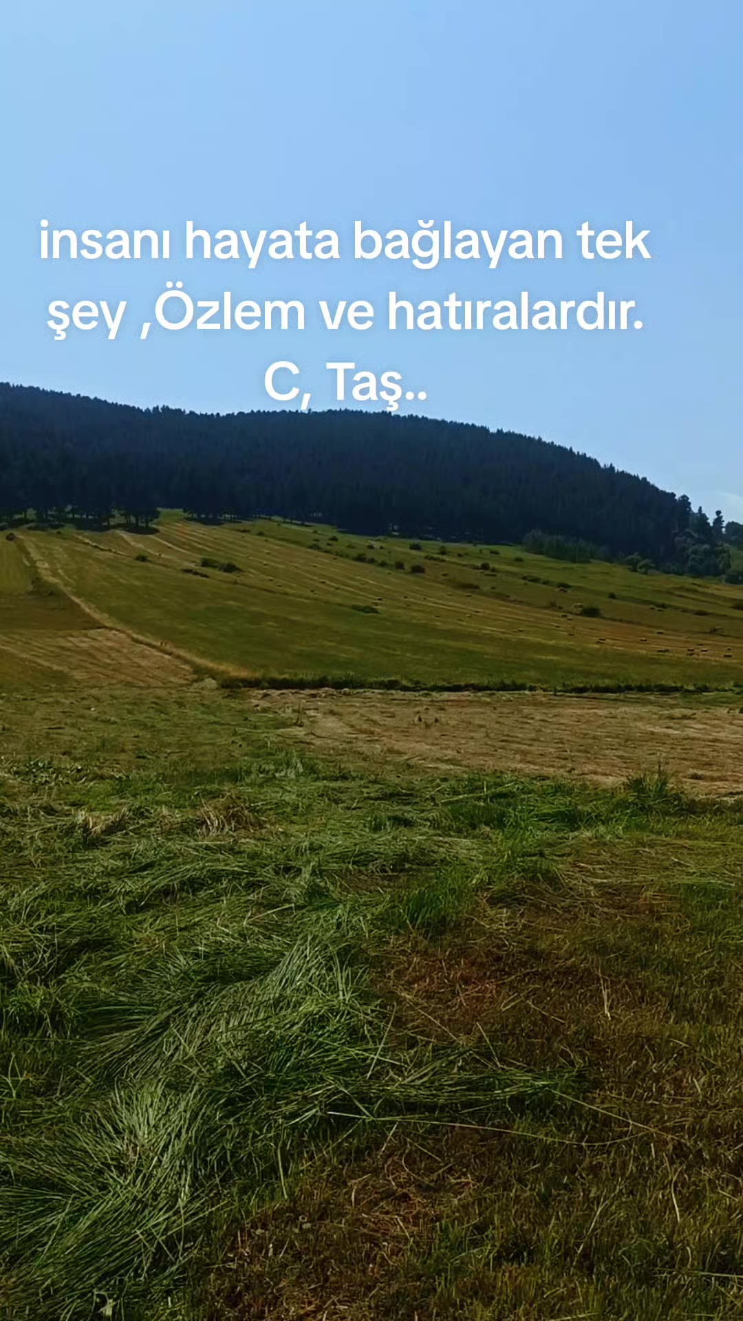 @Cengiz Taş