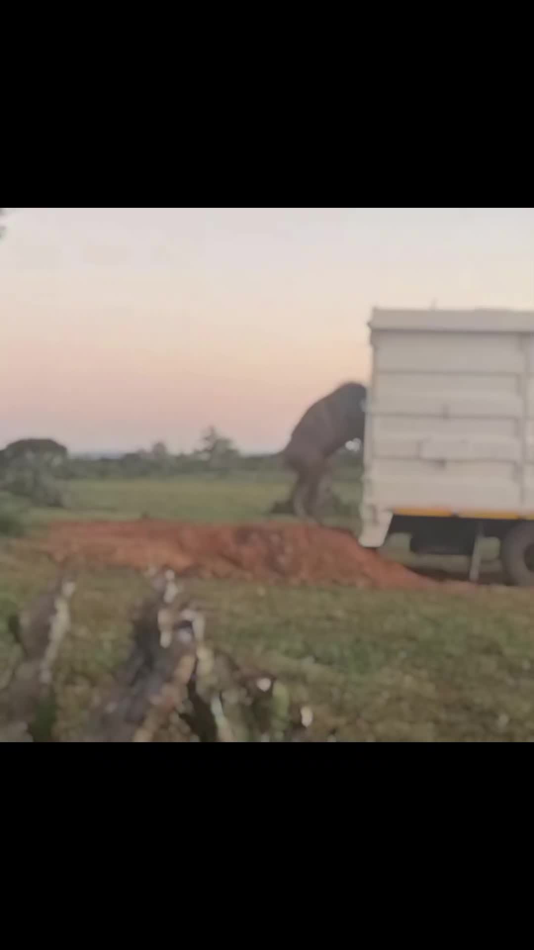 @Kalbas4x4Safaris
