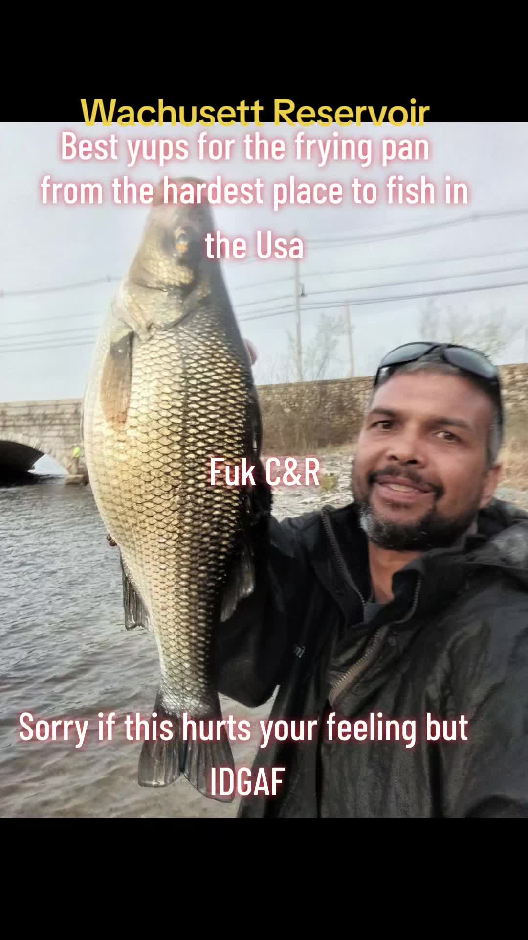 @Carlos Pagan