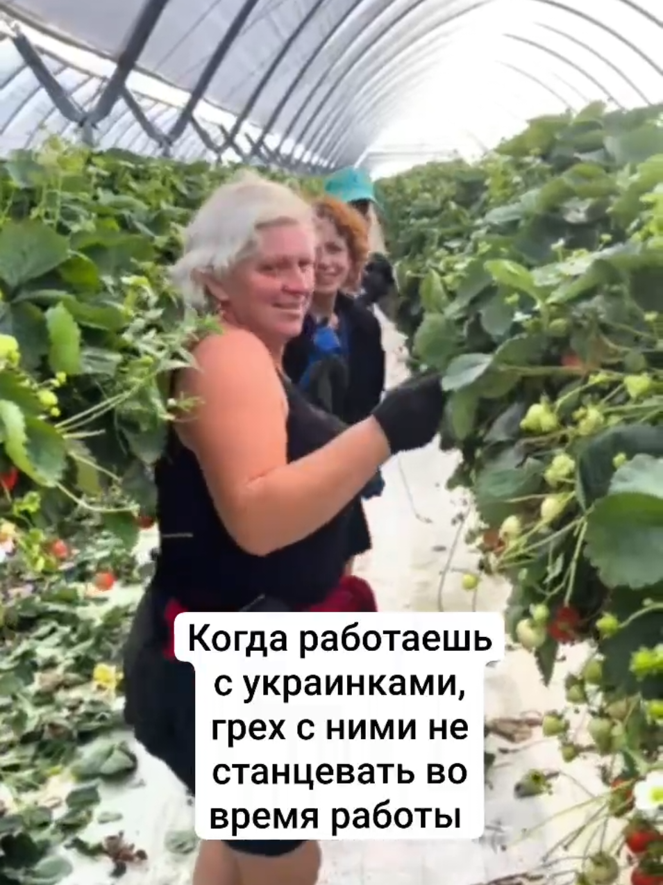 @Мелитина Богатая