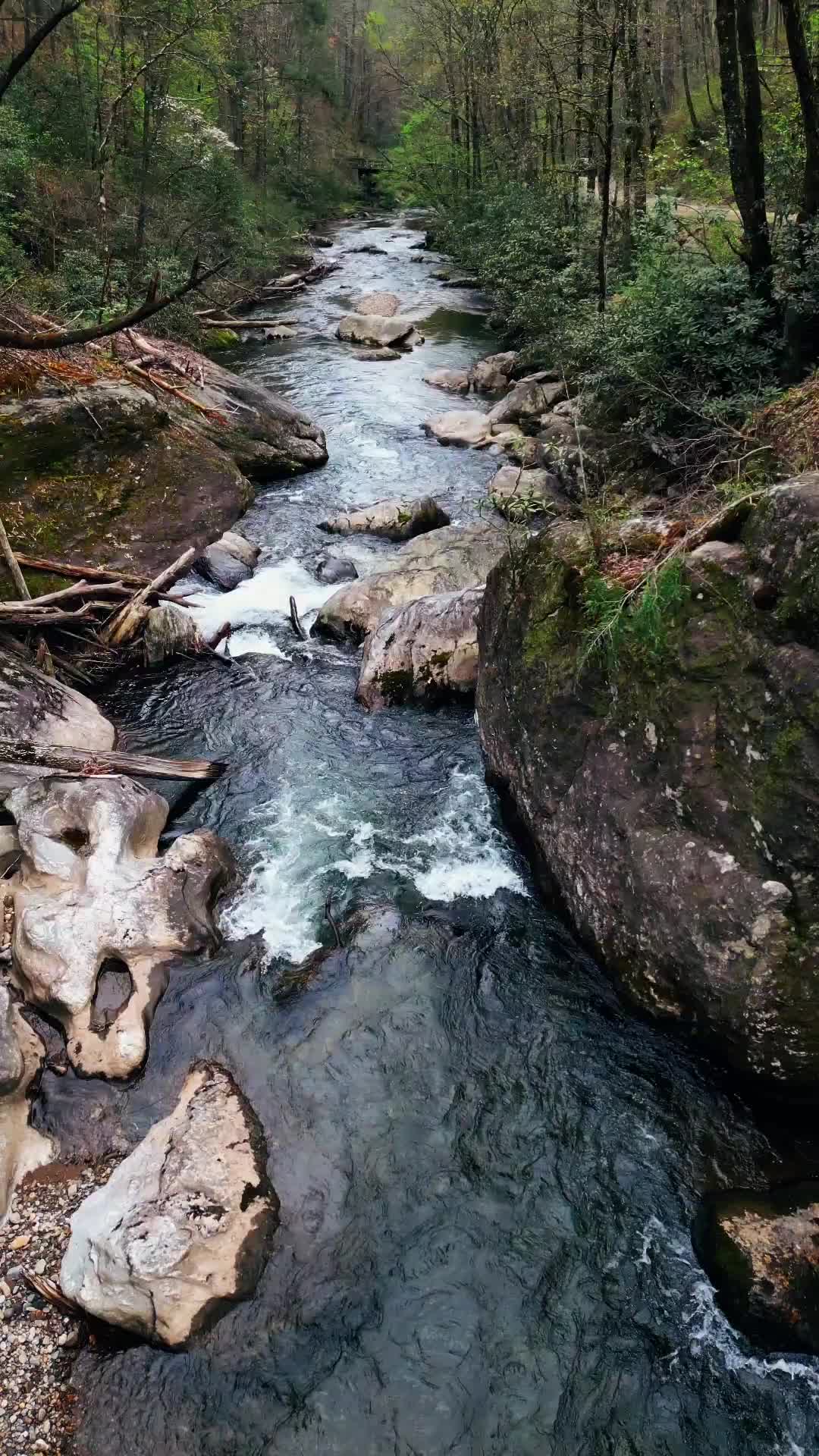 @Wander North Georgia