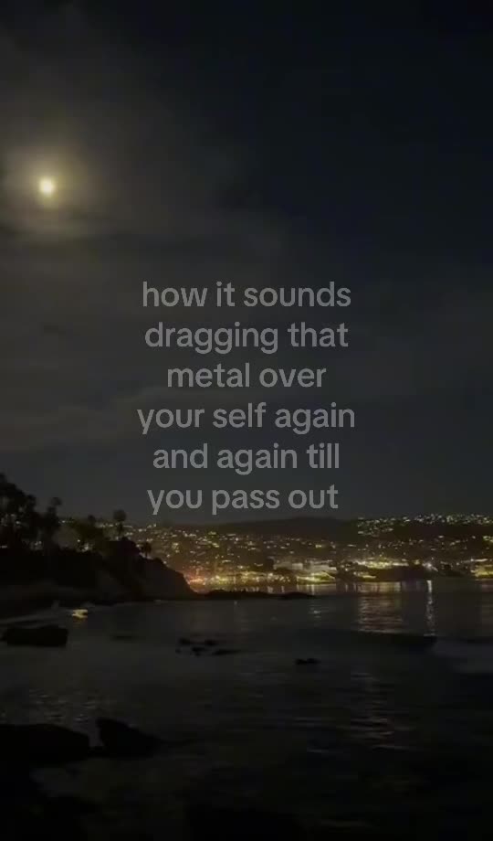 @🦓.