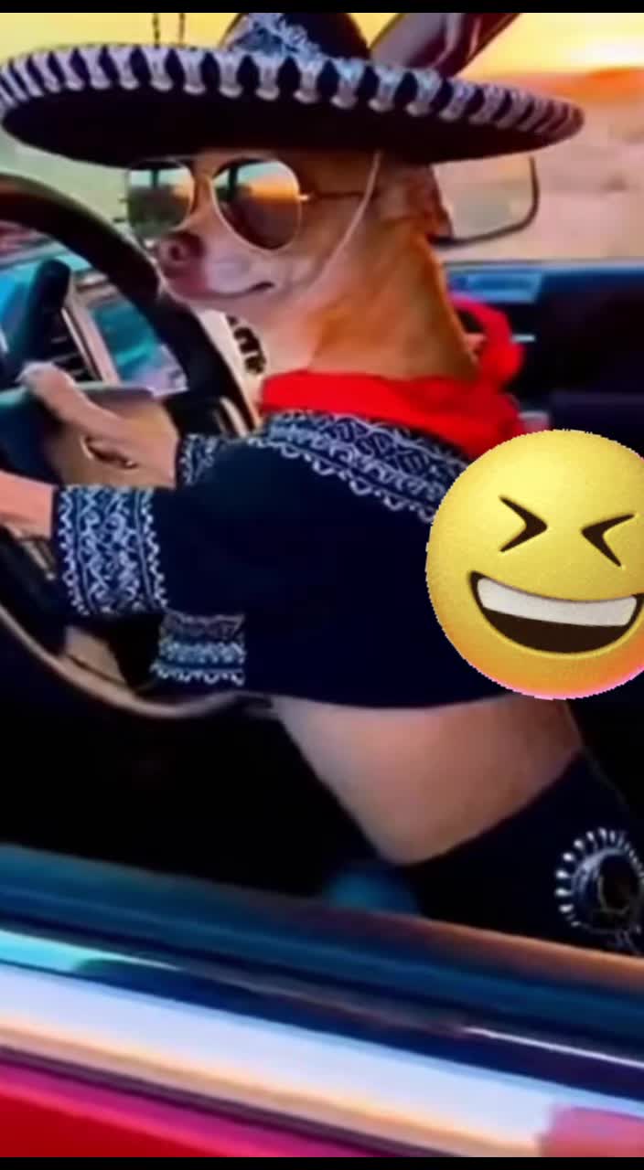 @Mamagatera20